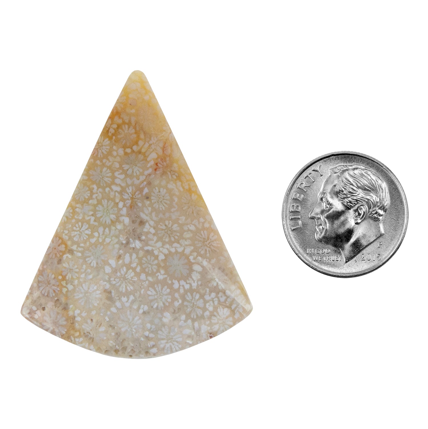Fossilized Coral - Freeform Cabochon 39mm x 31mm - Pkg/1 with dime