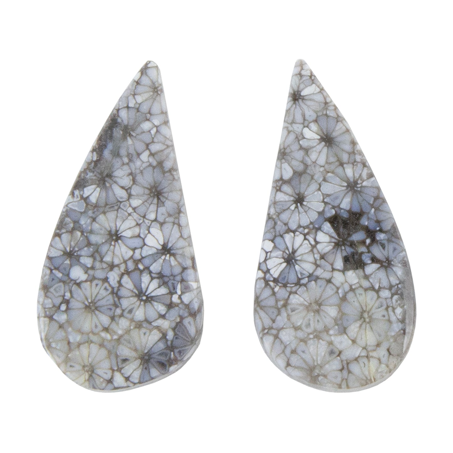 Fossilized Coral - Freeform Cabochon 27mm x 13mm - Matched Pair