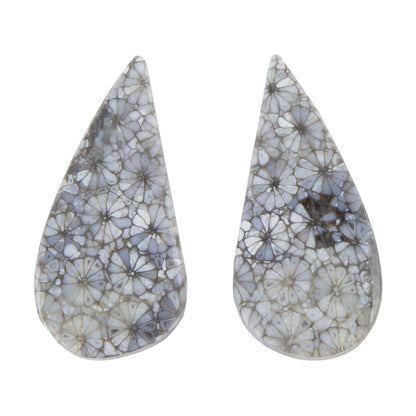 Fossilized Coral - Freeform Cabochon 27mm x 13mm - Matched Pair