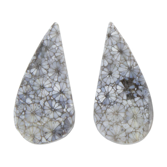 Fossilized Coral - Freeform Cabochon 27mm x 13mm - Matched Pair