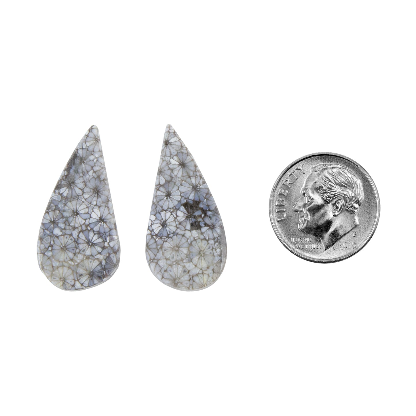 Fossilized Coral - Freeform Cabochon 27mm x 13mm - Matched Pair with dime