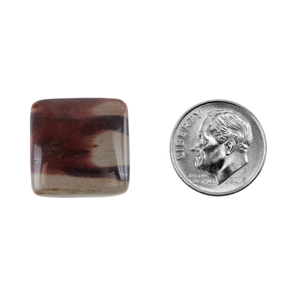 Zebra Stone - Cushion Cabochon 17mm - Pkg/1 with dime