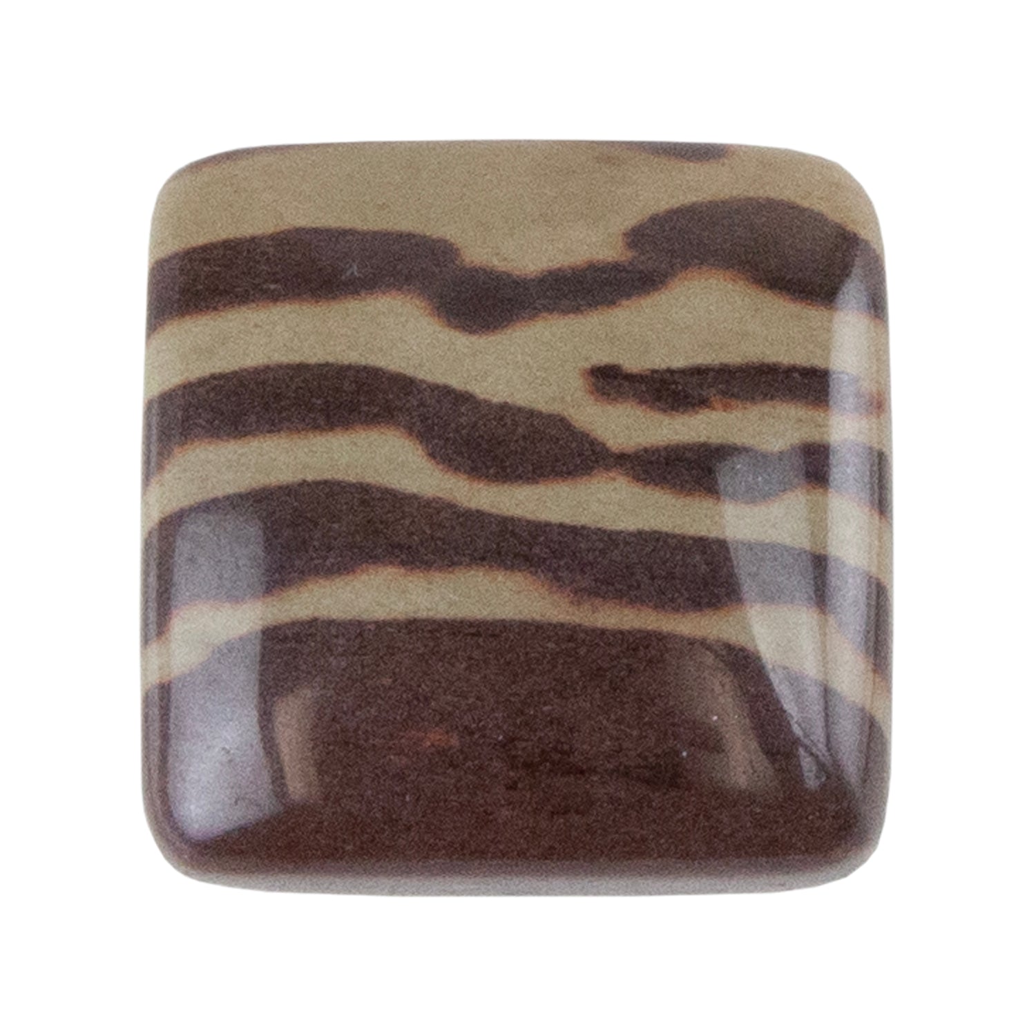 Zebra Stone - Cushion Cabochon 17mm - Pkg/1