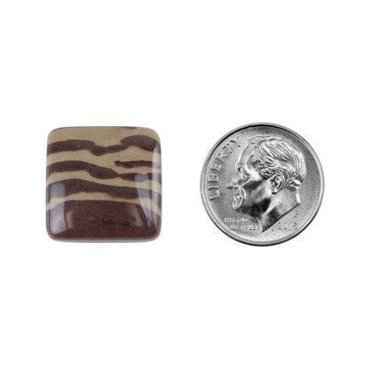Zebra Stone - Cushion Cabochon 17mm - Pkg/1 with dime