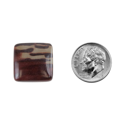 Zebra Stone - Cushion Cabochon 17mm - Pkg/1 with dime