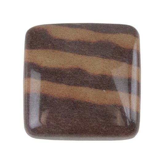 Zebra Stone - Cushion Cabochon 17mm - Pkg/1