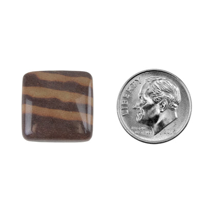 Zebra Stone - Cushion Cabochon 17mm - Pkg/1 with dime