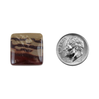 Zebra Stone - Cushion Cabochon 17mm - Pkg/1 with dime