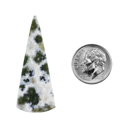 Ocean Jasper Gemstone - Cabochon Freeform 41mm x 16mm Pkg/1 with dime