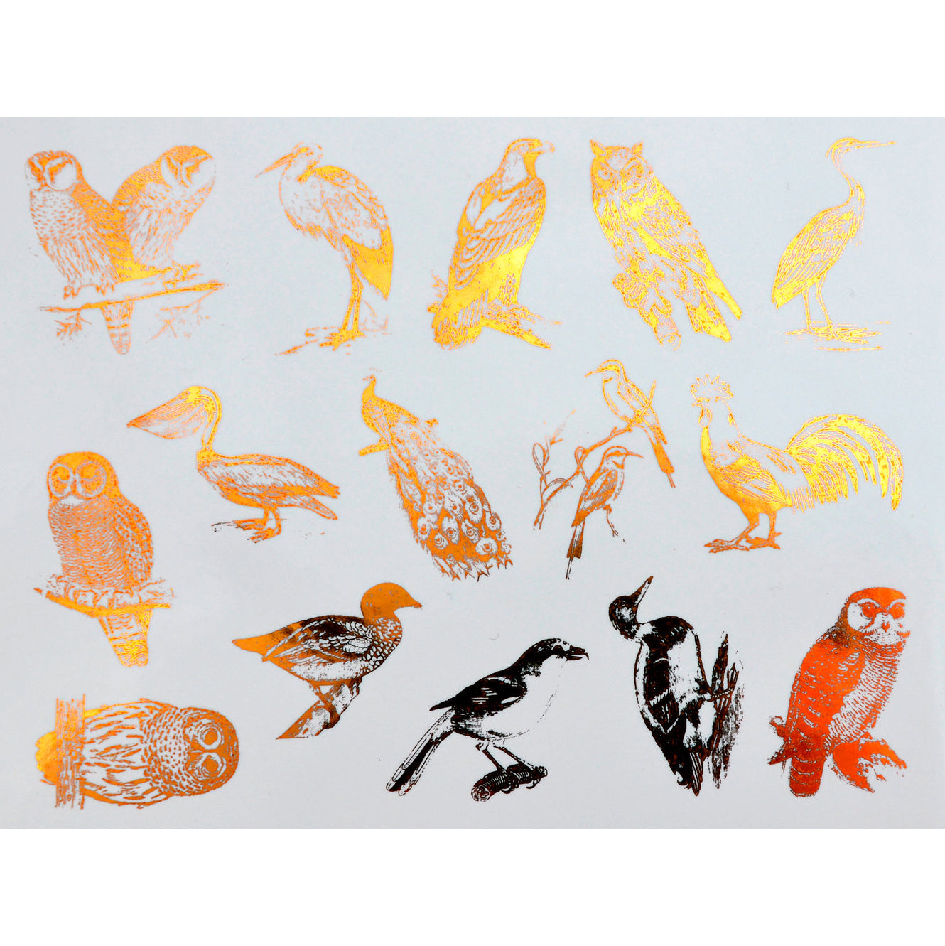 Enamel, Ceramic & Glass Decals - Mixed Birds gold