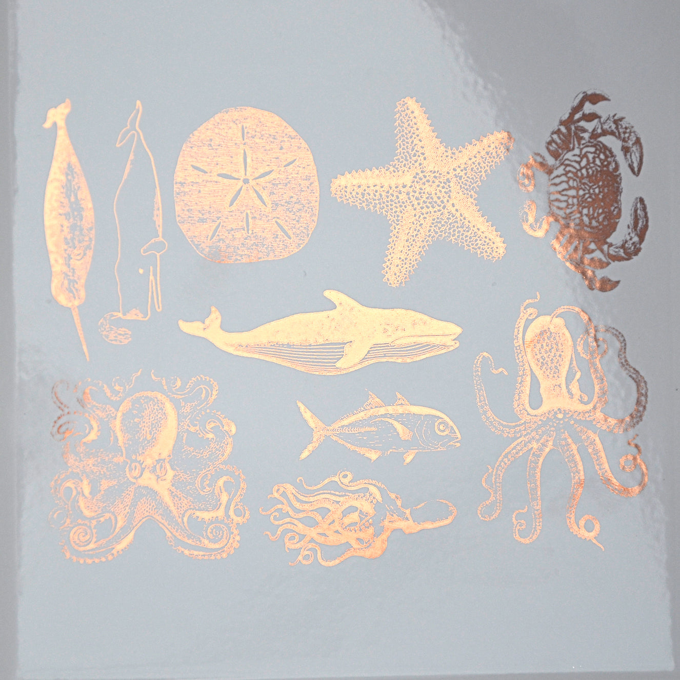 Enamel, Ceramic & Glass Decals - Mixed Sea Life gold