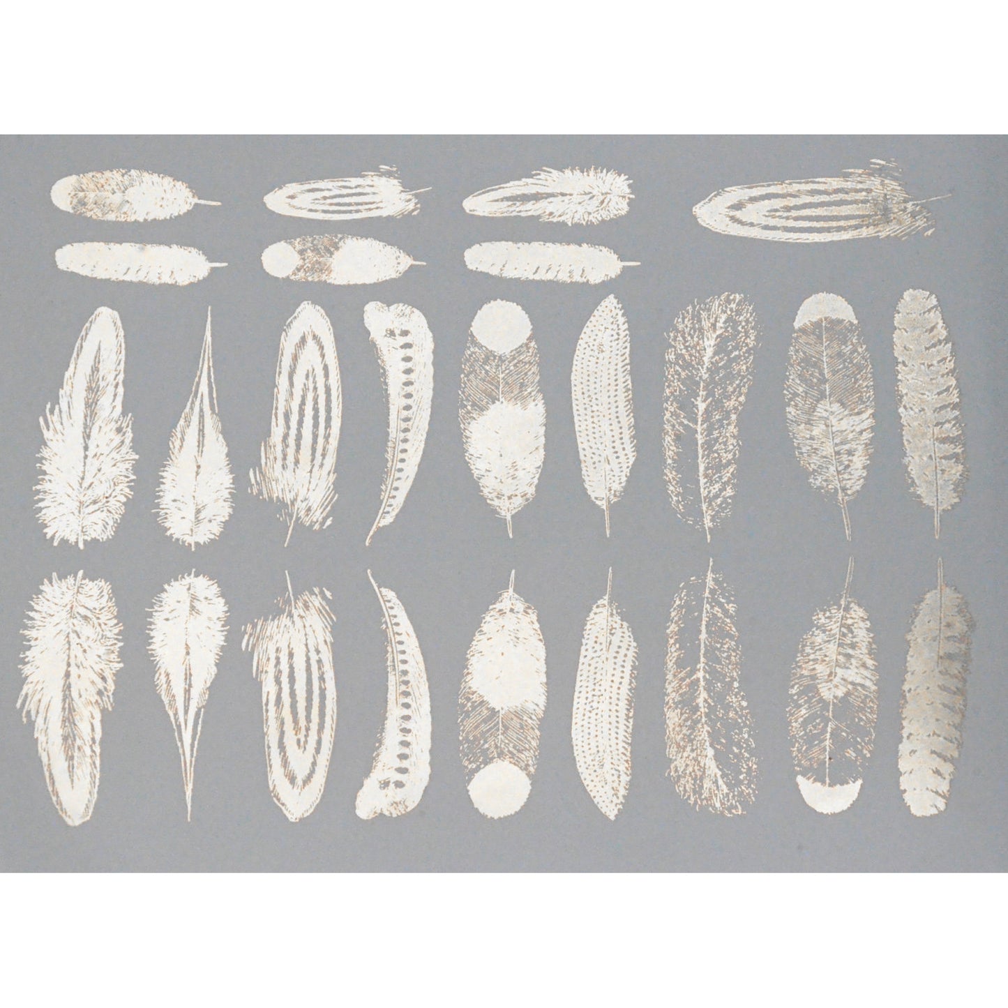 Enamel, Ceramic & Glass Decals - Feathers silver