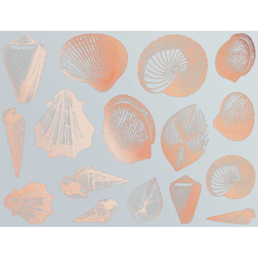 Enamel, Ceramic & Glass Decals - Seashell copper