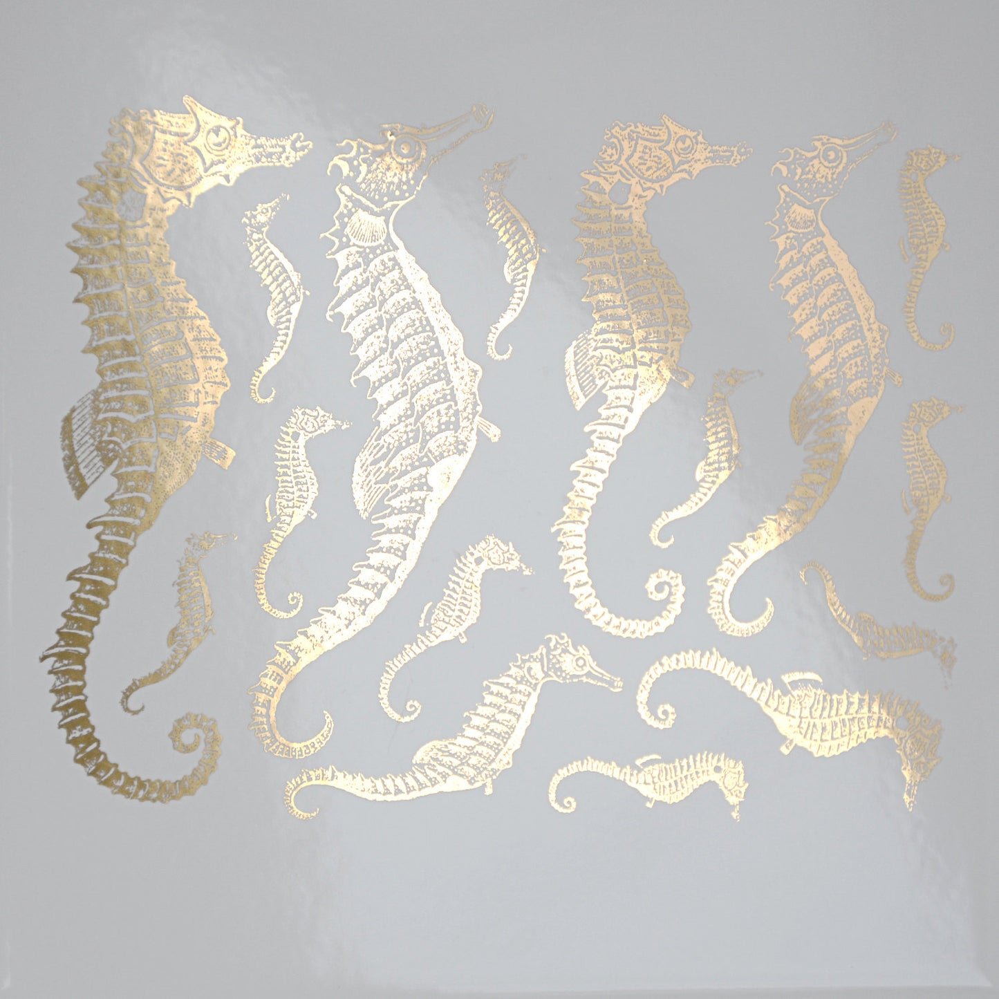 Enamel, Ceramic & Glass Decals - Seahorse gold