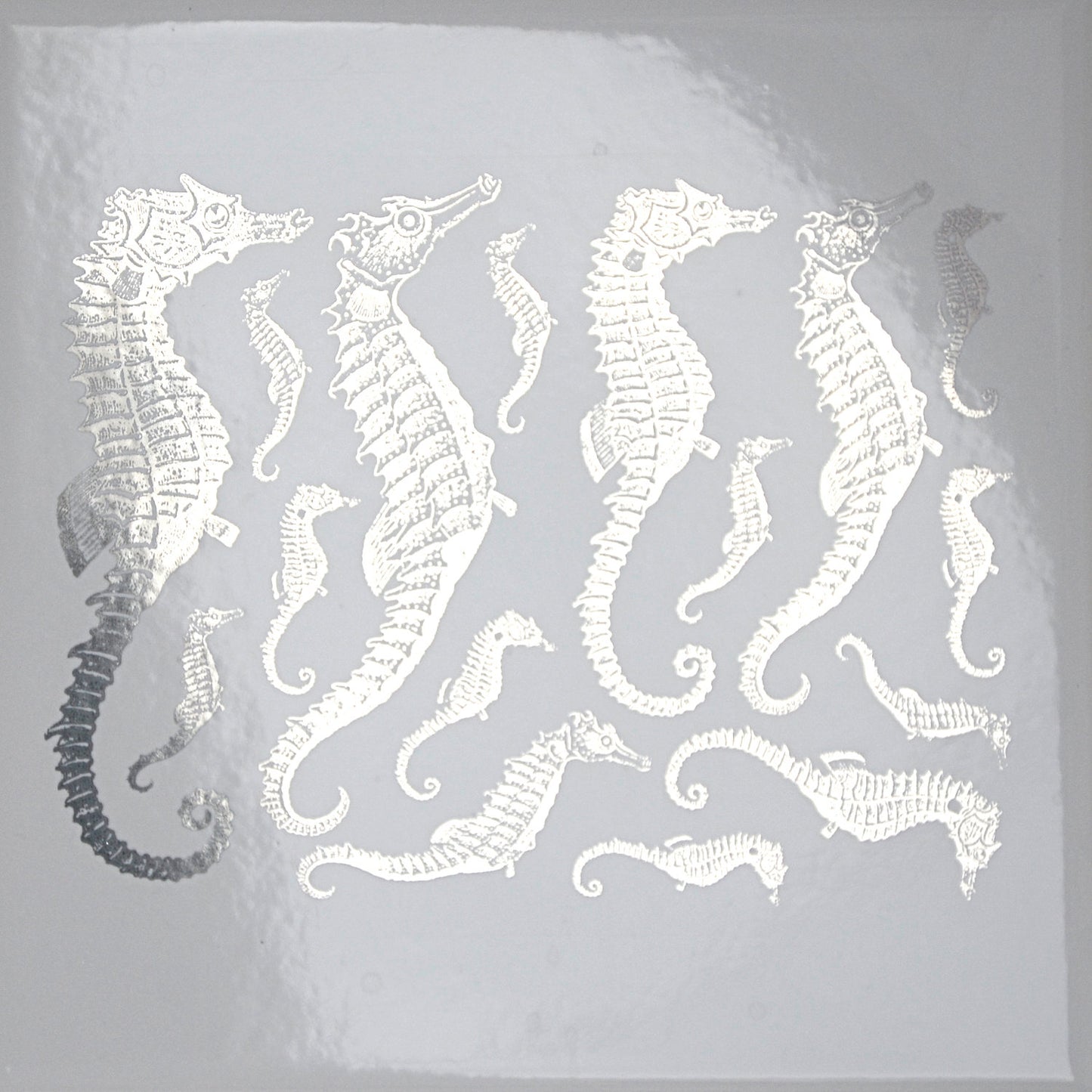 Enamel, Ceramic & Glass Decals - Seahorse silver