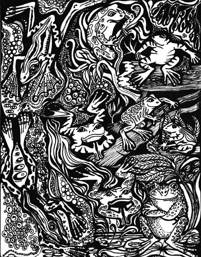 Carol Douglas Texture Mat - Frog Prince - Cool Tools