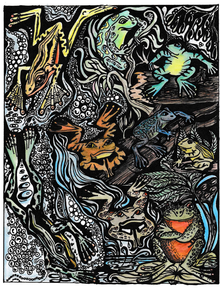 Carol Douglas Texture Mat - Frog Prince - Cool Tools