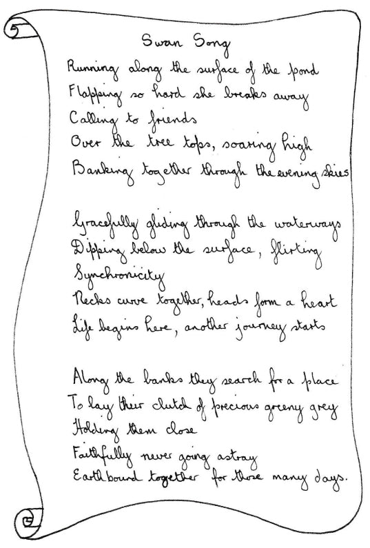 Carol Douglas Texture Mat - Swans - Cool Tools