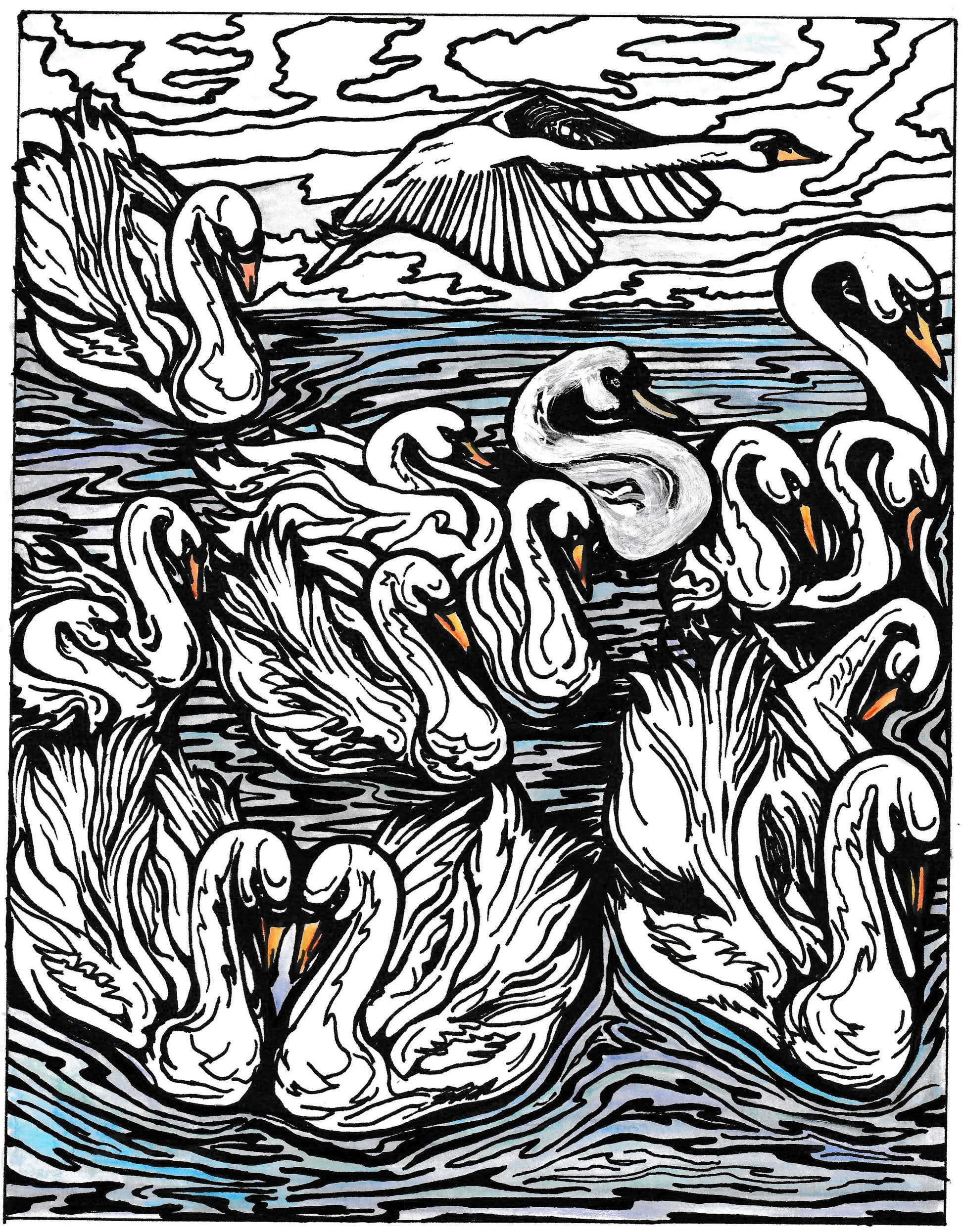 Carol Douglas Texture Mat - Swans - Cool Tools