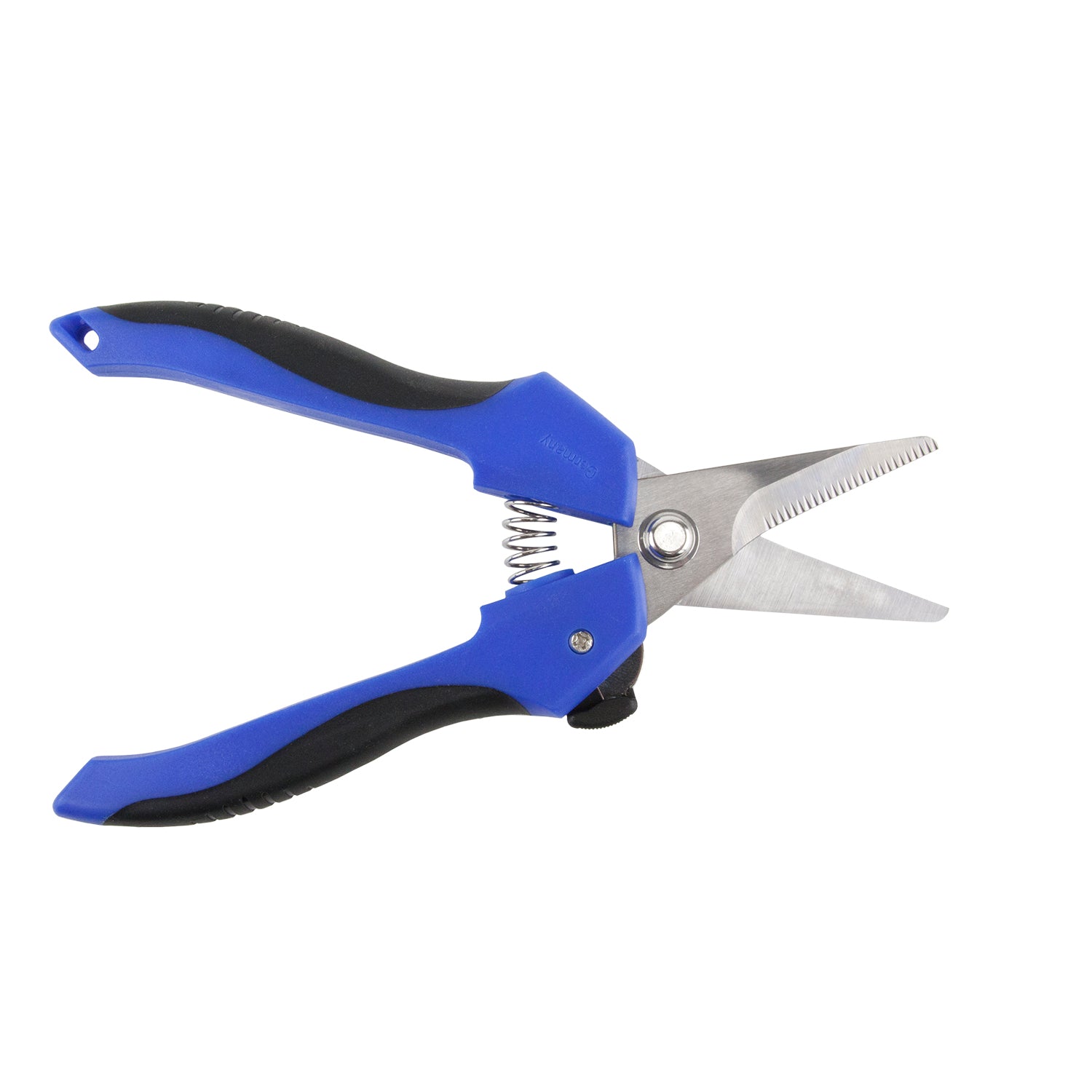Stainless Steel Shears with blue black grips