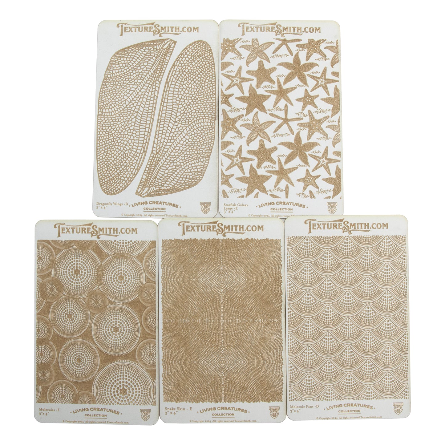 Paper Texture Bundle - Living Creatures Collection