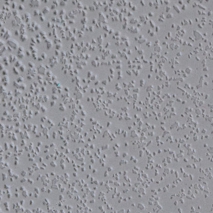 Texture Tile - Terrazzo sample in gray clay