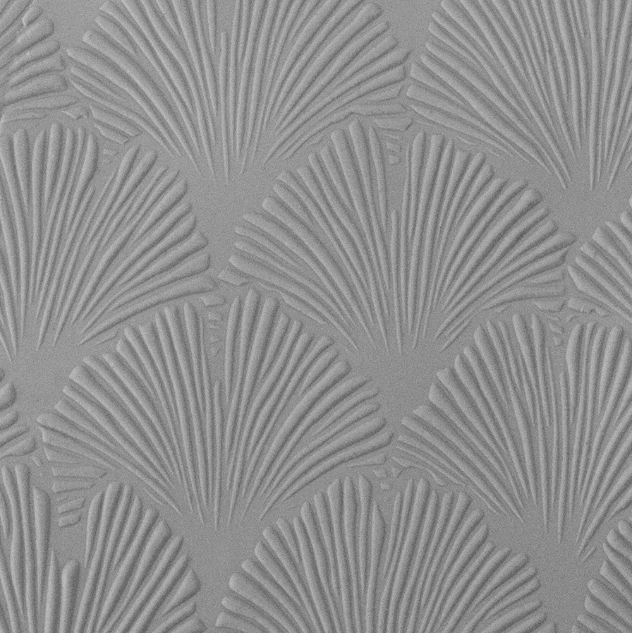 Texture Tile - Gingko Strokes sample rolled into clay