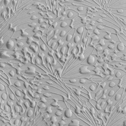Texture Tile - Butterfly Wings Embossed sample rolled into clay