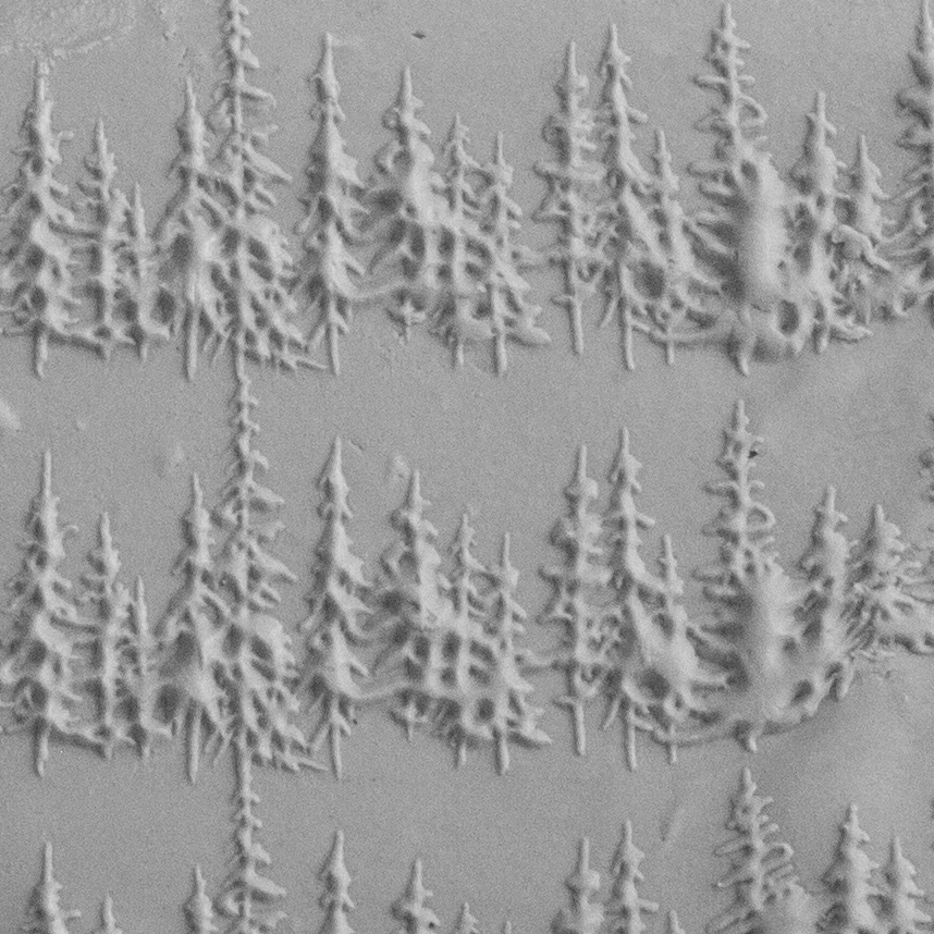 Texture Tile - Wisconsin Pines Embossed sample rolled into clay