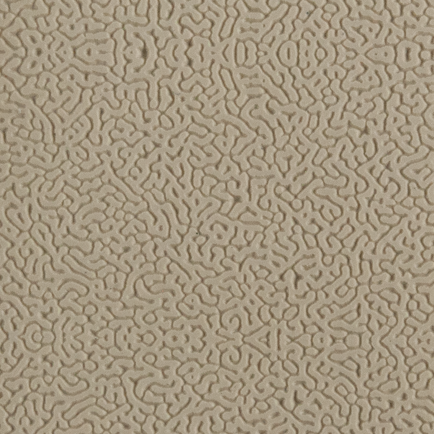 Texture Tile - Morphogenesis. Beige Texture Tiles are flexible, washable and can be used with any soft clay. Spritz with CoolSlip or dust on Dry Powder Release for stick-free impressions when using metal clay and polymer clay.