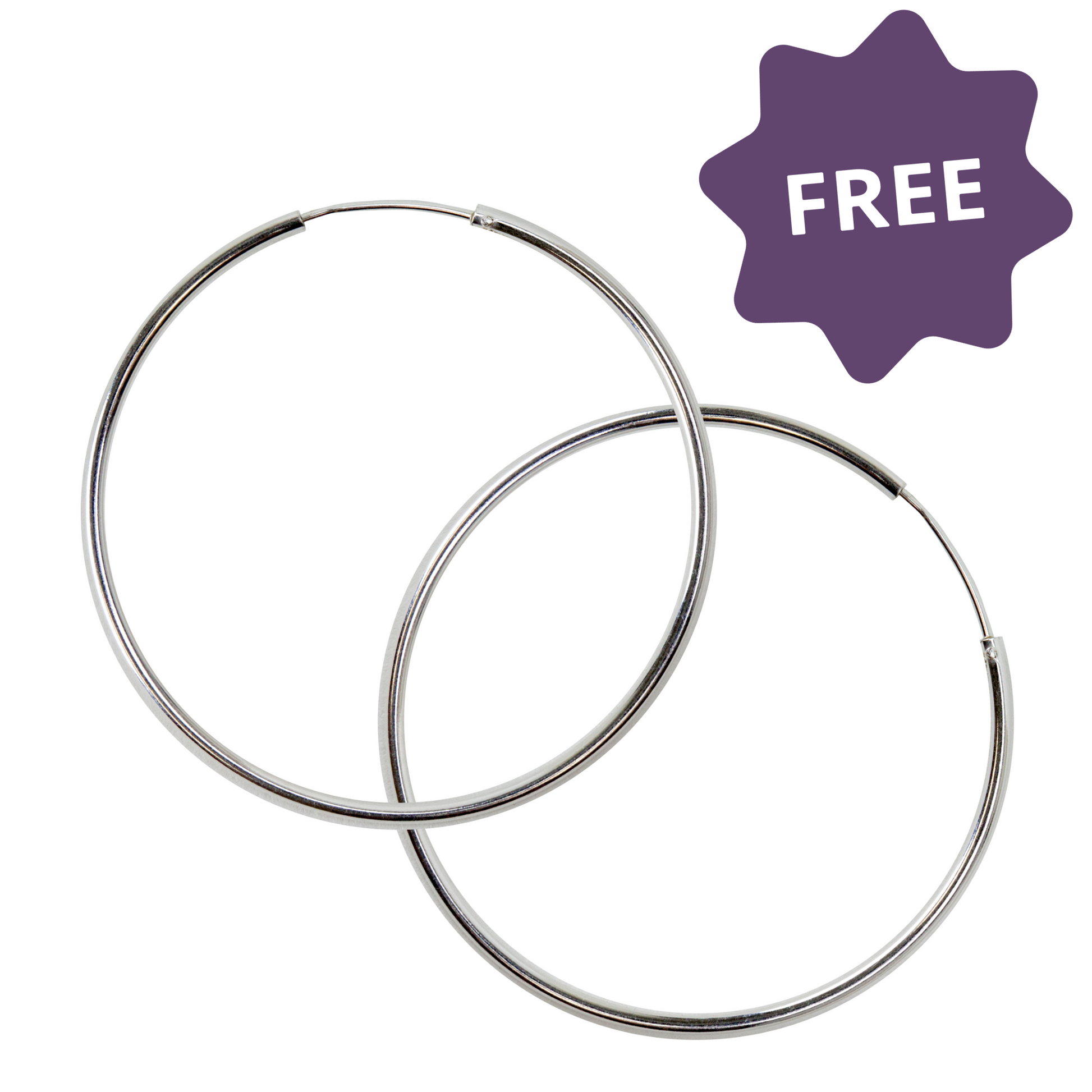 FREE Sterling Silver Endless Earring Hoops! 