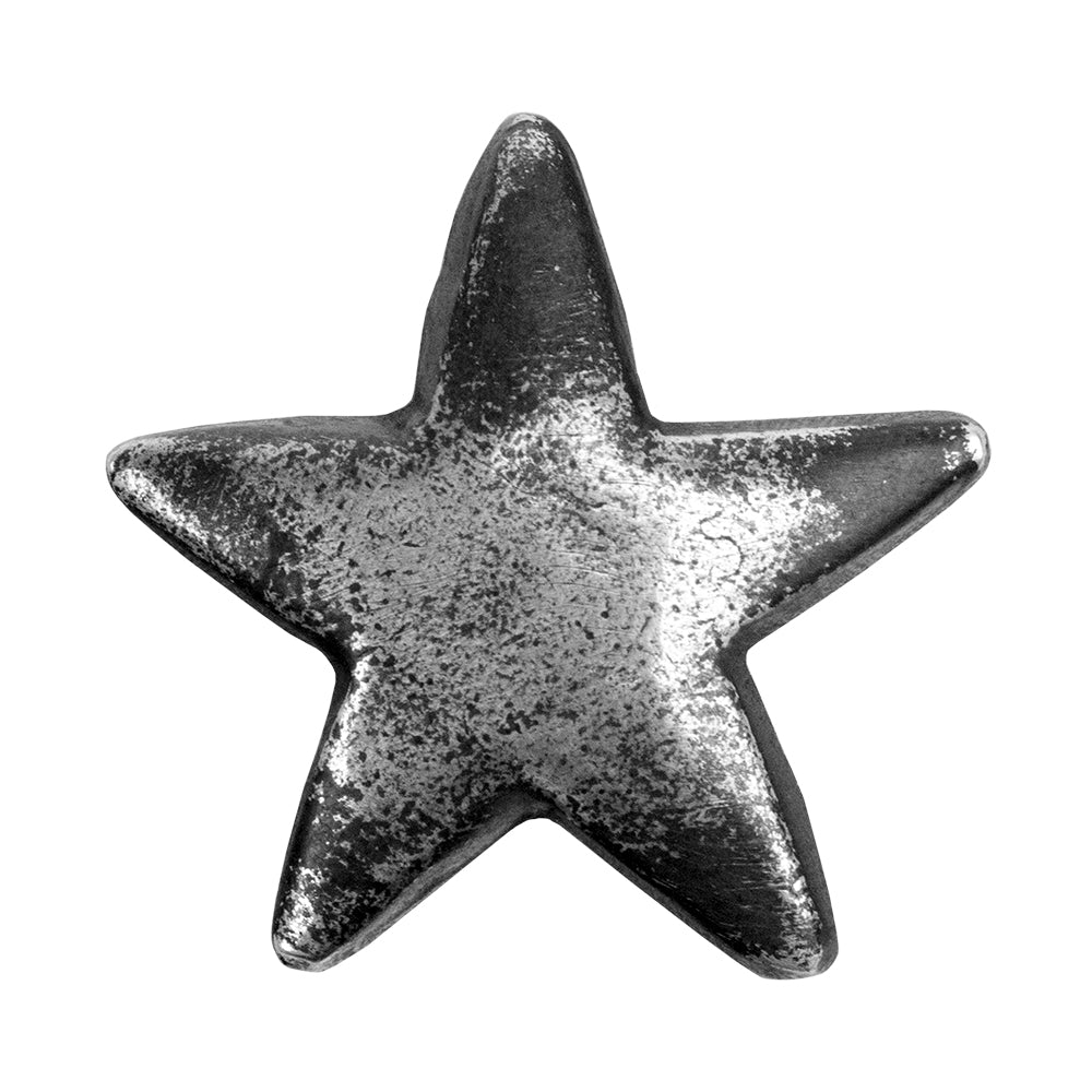 Ready Mold - Large Star Silver Sample 