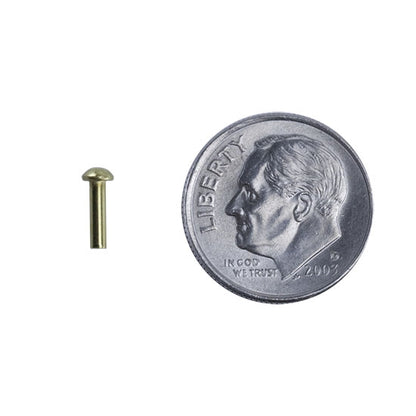 Brass Rivet - Round Head - 1/16" x 1/4" with dime