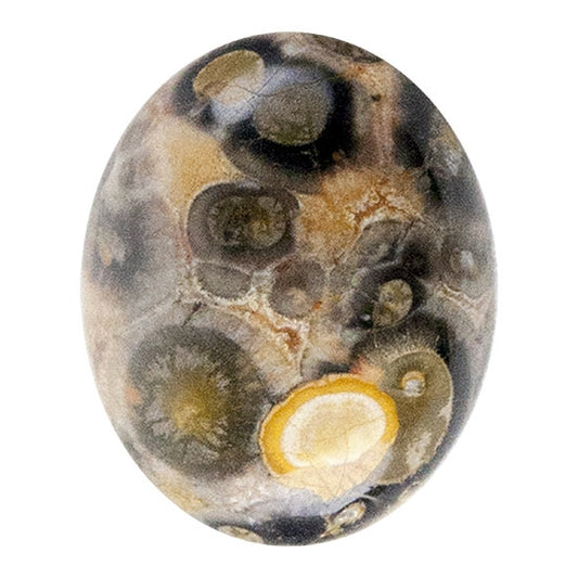 Leopardskin Jasper Gemstone - Cabochon Oval 8mm x 10mm Pkg/1