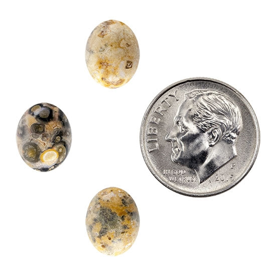 Leopardskin Jasper Gemstone - Cabochon Oval 8mm x 10mm Pkg/1