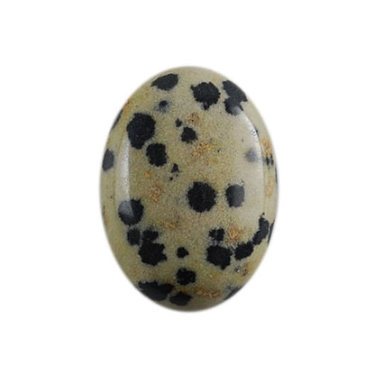 Dalmatian Jasper Gemstone - Cabochon Oval 18mm x 25mm - Pkg/1 - Cool Tools