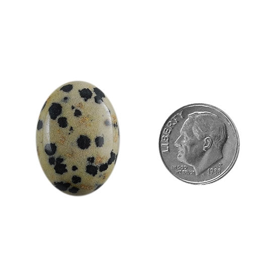 Dalmatian Jasper Gemstone - Cabochon Oval 18mm x 25mm - Pkg/1