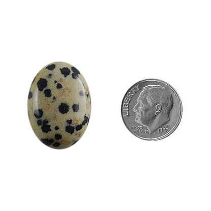 Dalmatian Jasper Gemstone - Cabochon Oval 18mm x 25mm - Pkg/1 - Cool Tools