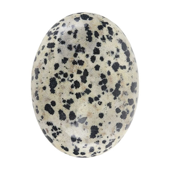 Dalmatian Jasper Gemstone - Cabochon Oval