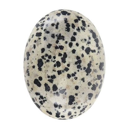 Dalmatian Jasper Gemstone - Cabochon Oval - Cool Tools