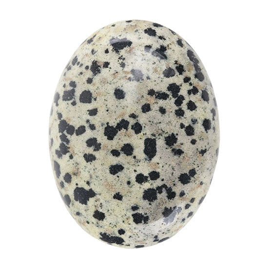 Dalmatian Jasper Gemstone - Cabochon Oval