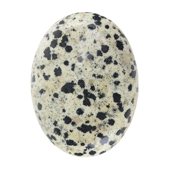 Dalmatian Jasper Gemstone - Cabochon Oval