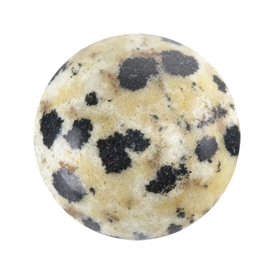 Dalmatian Jasper Gemstone - Cabochon Round