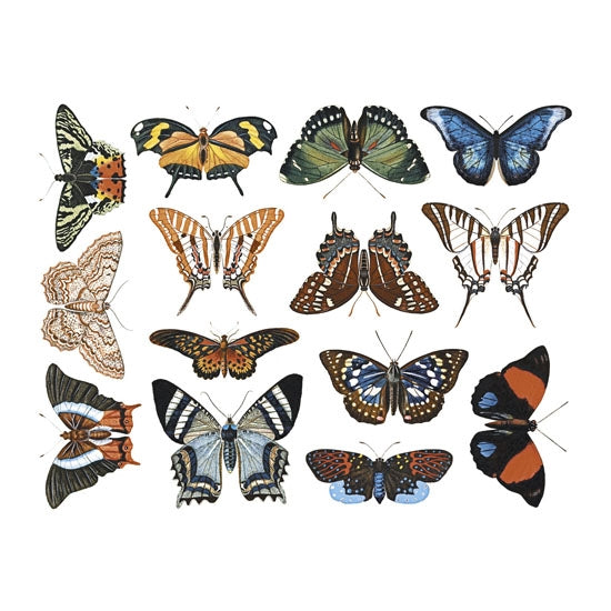 Enamel, Ceramic & Glass Decals - Colorful Butterflies #2 The Colorful Butterflies #2 sheet has 14 finely-detailed illustrations of colorful butterflies. 