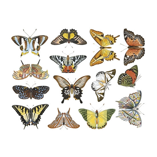 Enamel, Ceramic & Glass Decals - Colorful Butterflies #1 The Colorful Butterflies #1 sheet has 14 finely-detailed illustrations of colorful butterflies