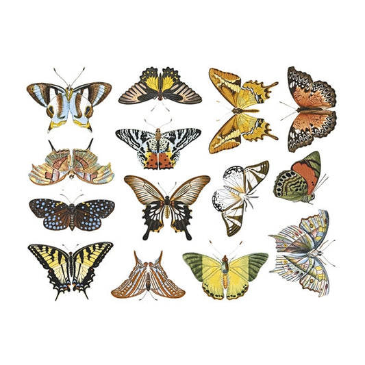 Enamel, Ceramic & Glass Decals - Colorful Butterflies #1 The Colorful Butterflies #1 sheet has 14 finely-detailed illustrations of colorful butterflies