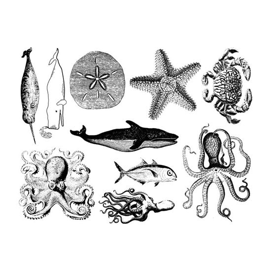 Enamel, Ceramic & Glass Decals - Mixed Sea Life The Mixed Sea Life sheet has 10 beautiful sea life decals. These decals are available in 4 colors: black, gold luster, silver luster and copper luster.