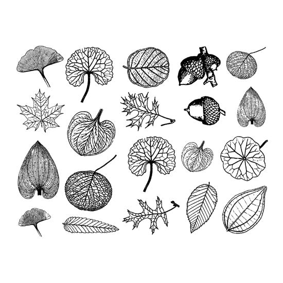 Enamel, Ceramic & Glass Decals - Small Leaves The Small Leaves sheet has 20 finely detailed leaf skeleton decals. These decals are available in 4 colors: black, gold luster, silver luster and copper luster