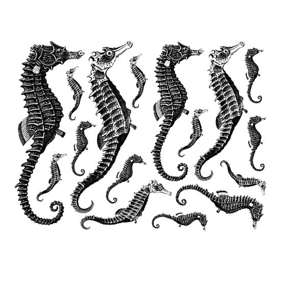 Enamel, Ceramic & Glass Decals - Seahorse The Seahorse sheet has 16 finely detailed seahorse decals. These decals are available in 4 colors: black, gold luster, silver luster and copper lust