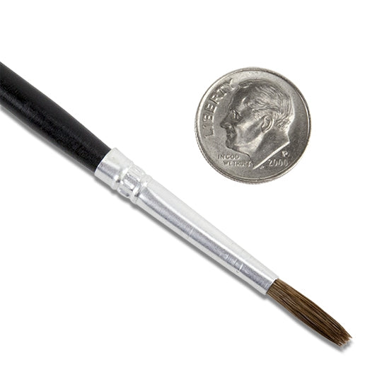 Camel Hair Economy Brush - Size 5 with dime